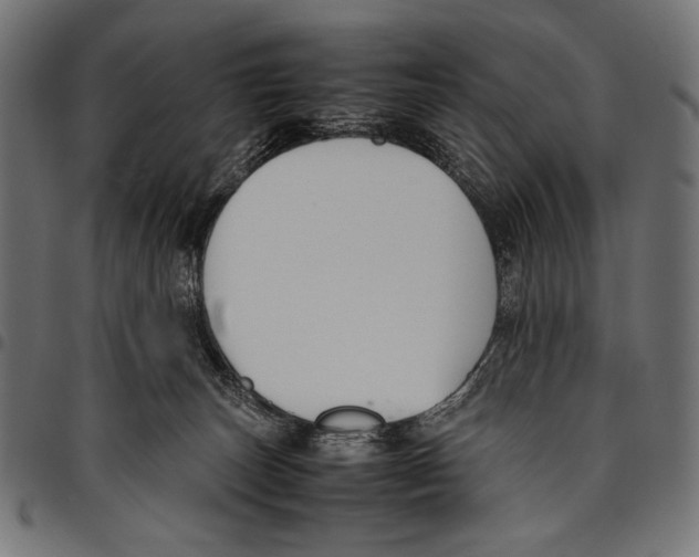 X0000094800179200712141701