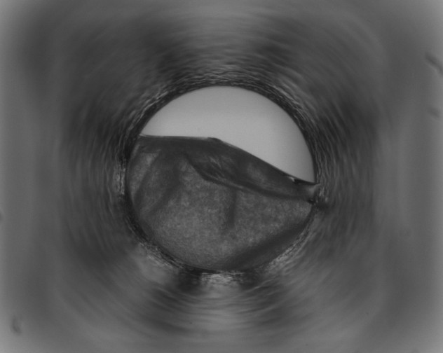 X0000094800180200712141701