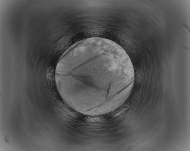 X0000094800181200712141701