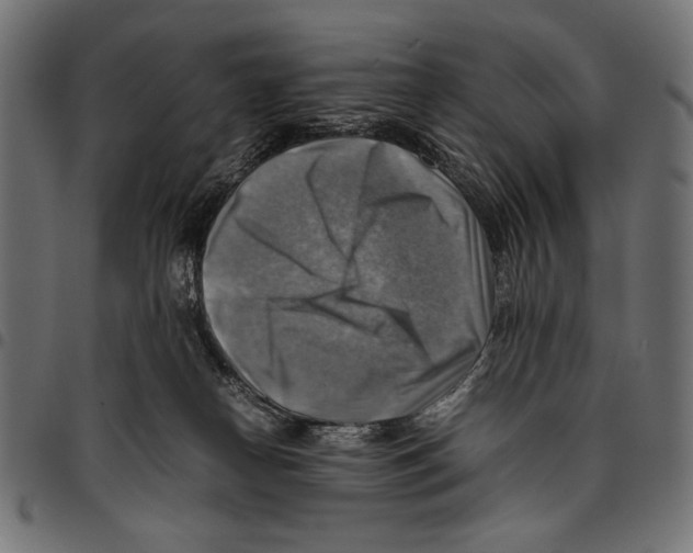 X0000094800182200712141701