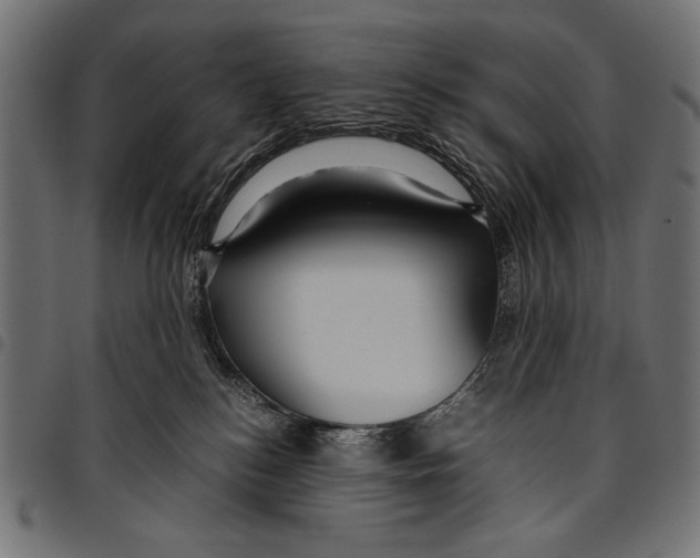 X0000094800184200712141701