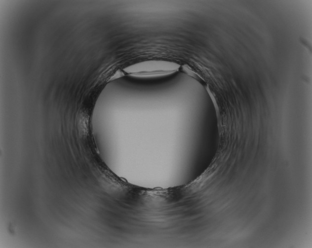 X0000094800188200712141701