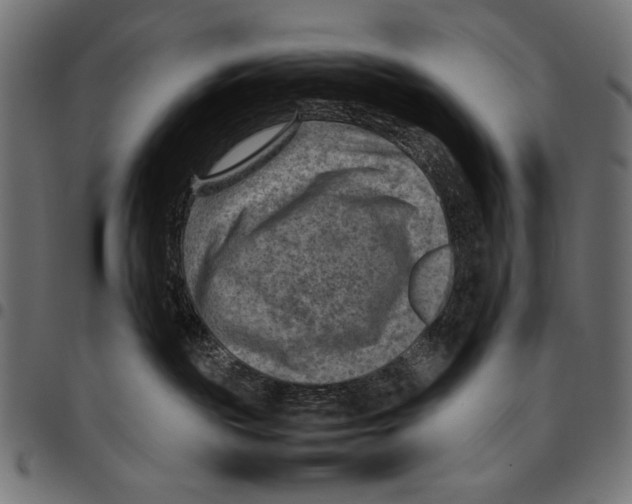 X0000094800189200712141701