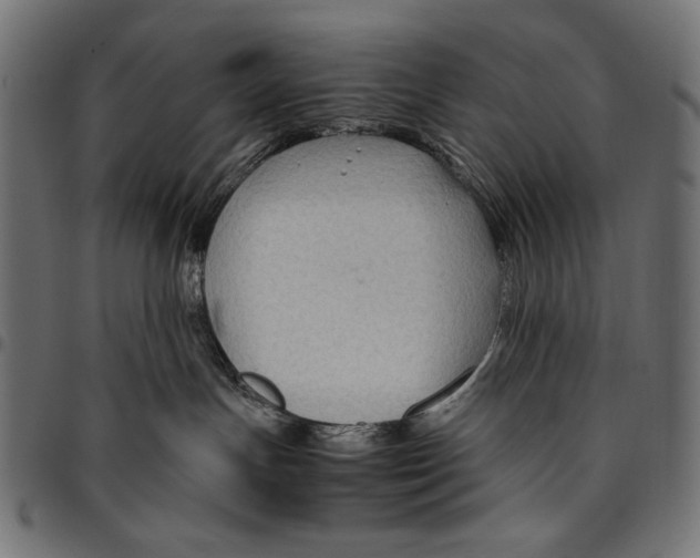 X0000094800191200712141701