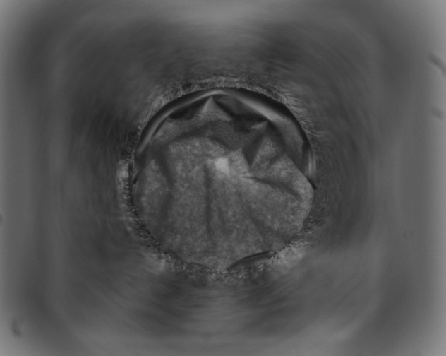X0000094800192200712141701
