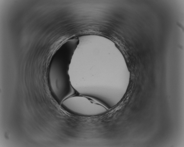 X0000094800193200712141700