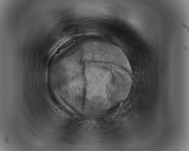 X0000094800194200712141700