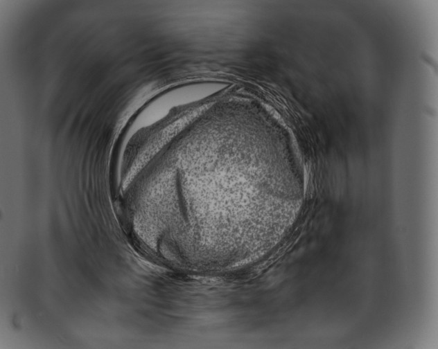 X0000094800195200712141700