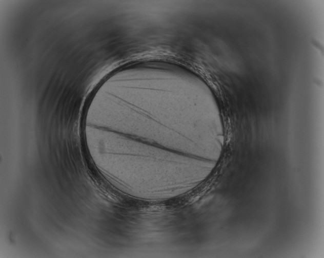 X0000094800196200712141700