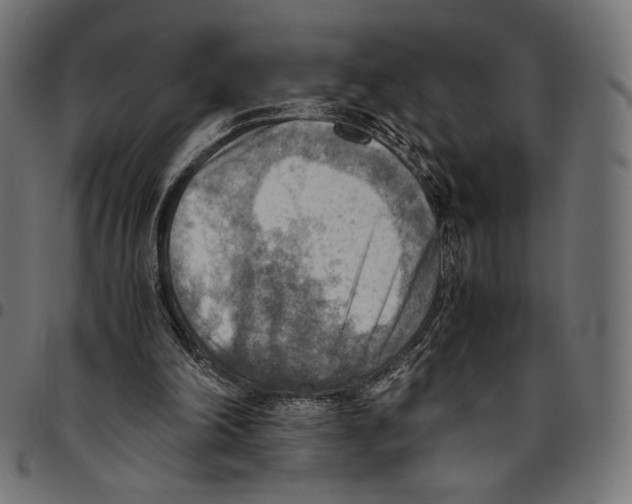 X0000094800198200712141700