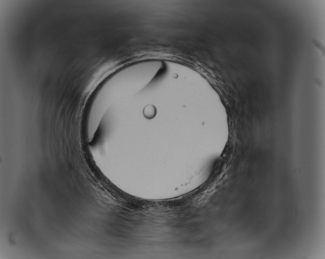 X0000094800199200712141700