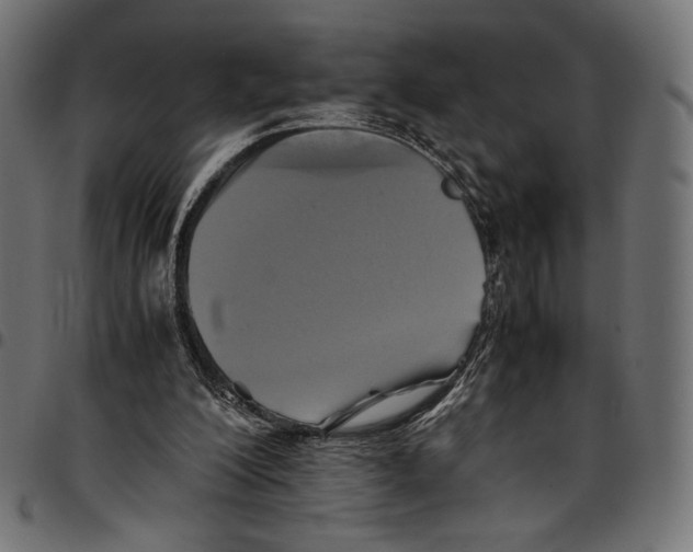 X0000094800200200712141700