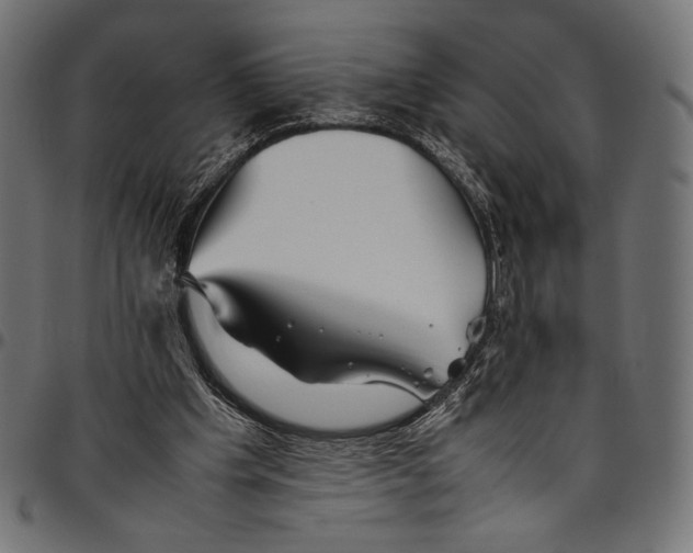 X0000094800201200712141700