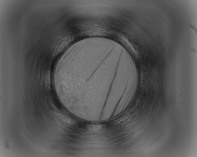 X0000094800202200712141700