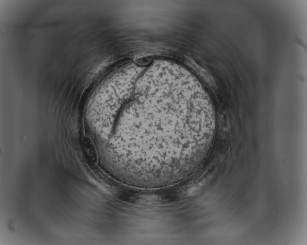 X0000094800203200712141700