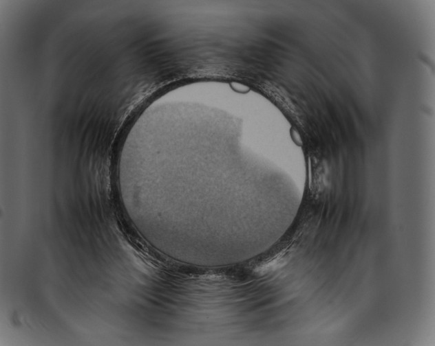X0000094800204200712141700
