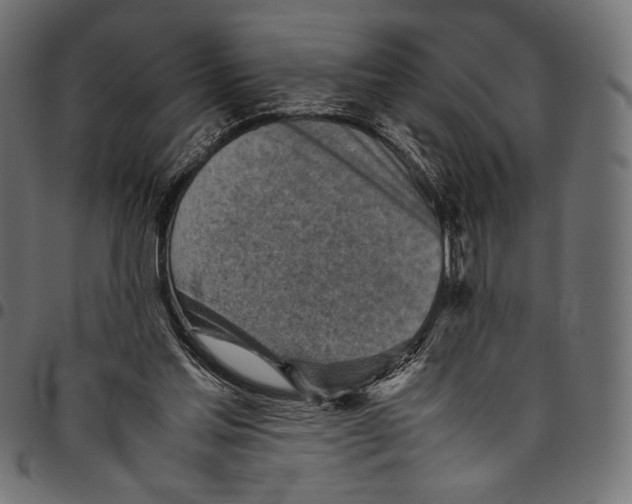 X0000094800205200712141700