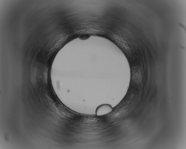X0000094800206200712141700