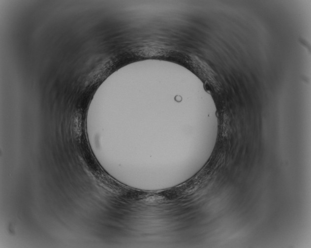 X0000094800210200712141700