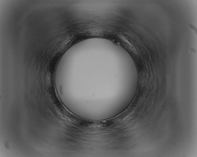 X0000094800213200712141700