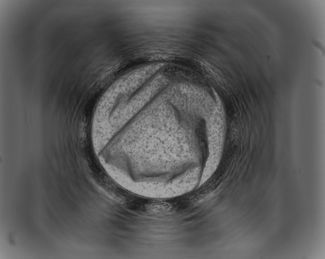 X0000094800215200712141700