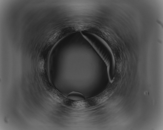 X0000094800219200712141700