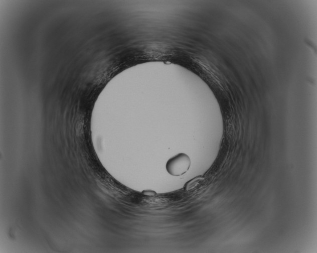 X0000094800221200712141700