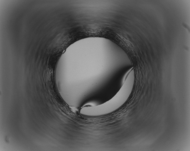 X0000094800225200712141700