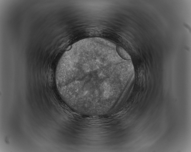 X0000094800228200712141700