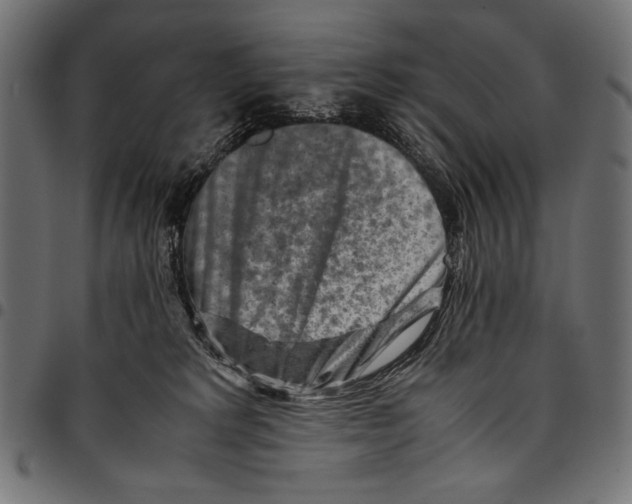 X0000094800229200712141700