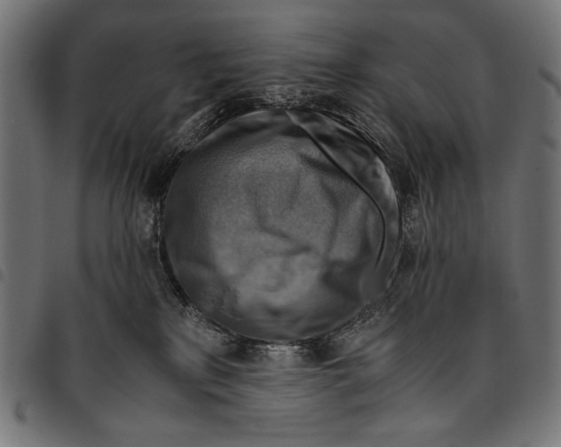 X0000094800233200712141700