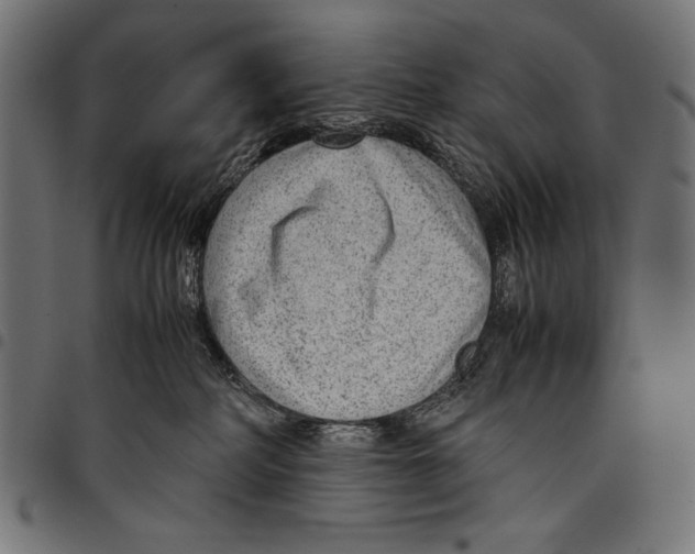 X0000094800234200712141700