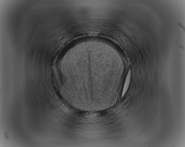 X0000094800235200712141700
