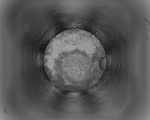 X0000094800236200712141700