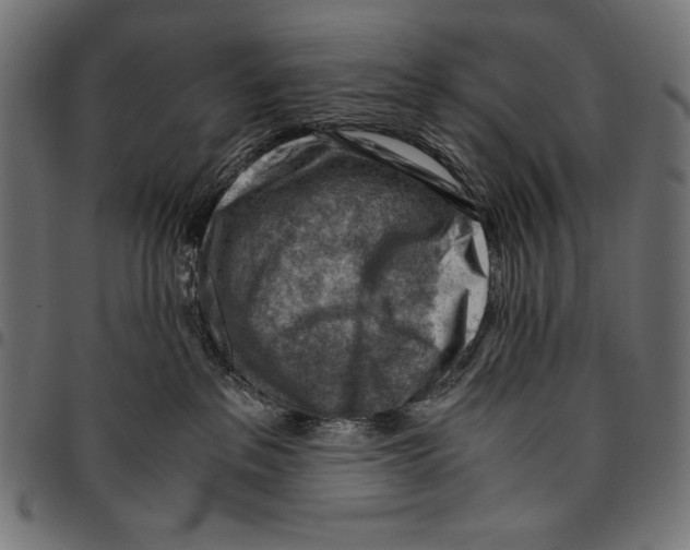 X0000094800237200712141700