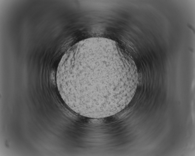 X0000094800238200712141700
