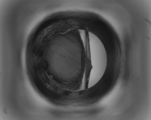 X0000094800239200712141700