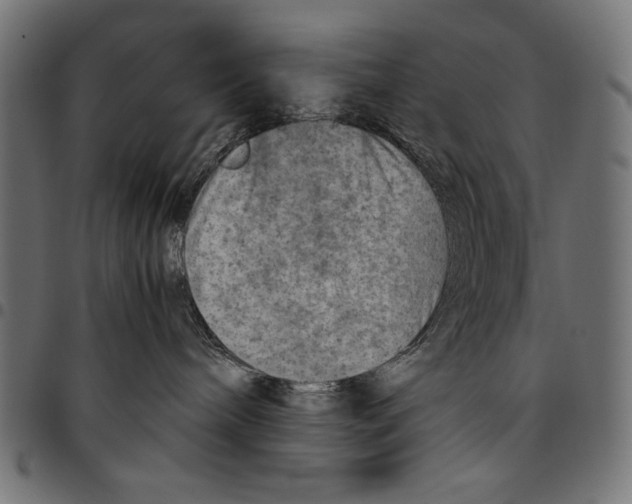 X0000094800240200712141700