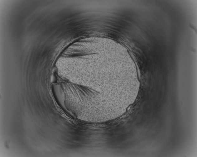 X0000094800241200712141659