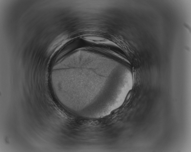 X0000094800243200712141659