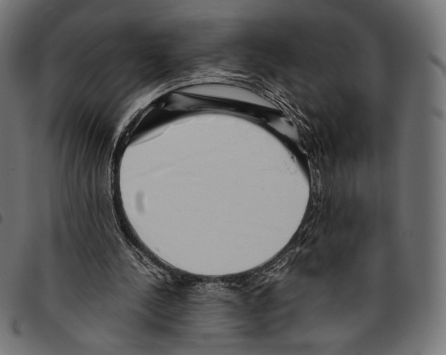 X0000094800244200712141659