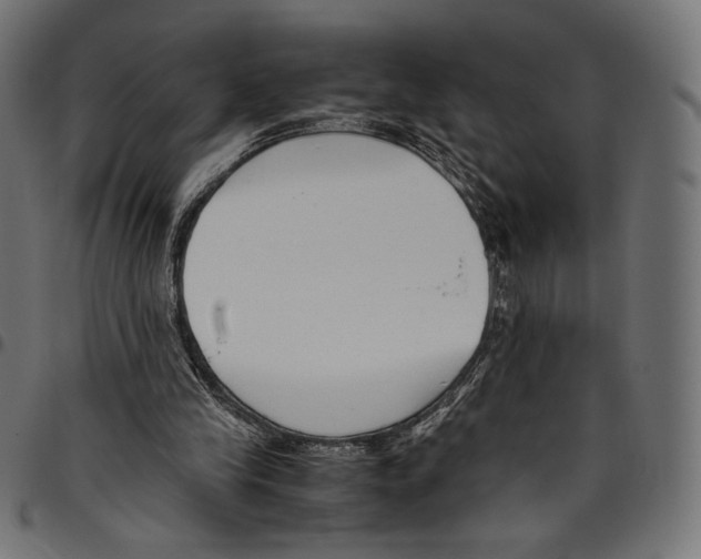 X0000094800245200712141659