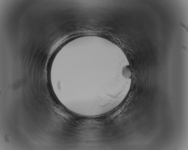 X0000094800246200712141659