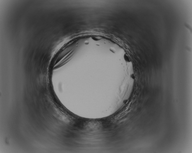 X0000094800248200712141659
