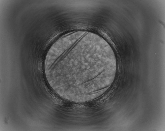 X0000094800249200712141659