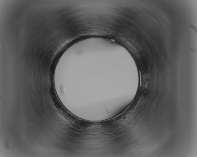 X0000094800252200712141659