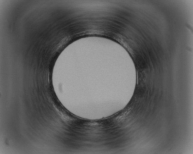 X0000094800253200712141659