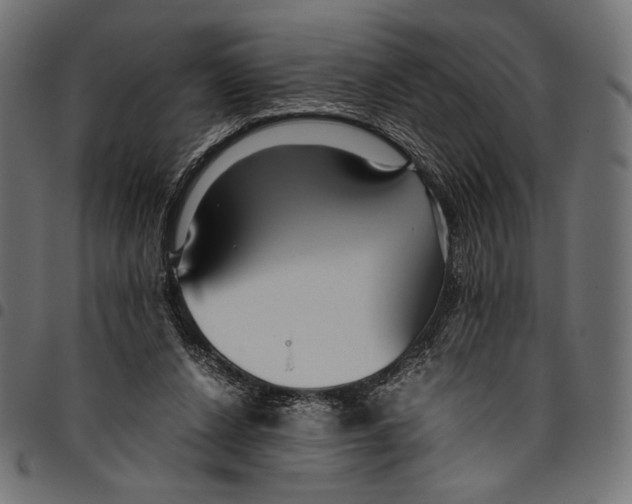 X0000094800256200712141659
