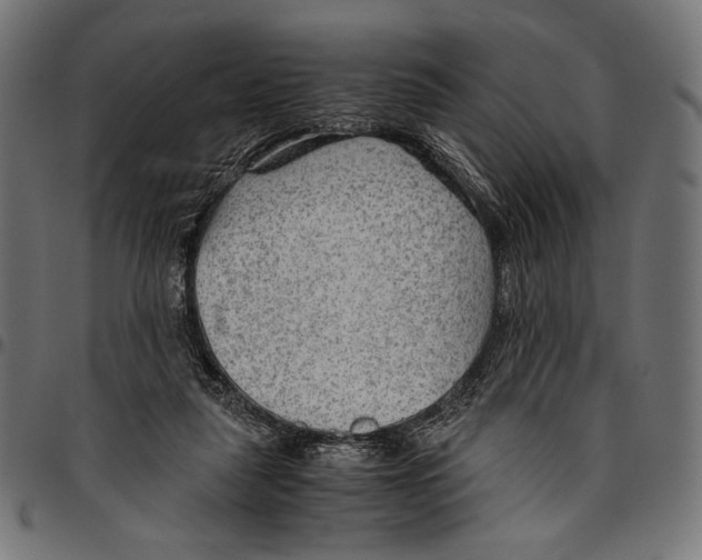 X0000094800259200712141659