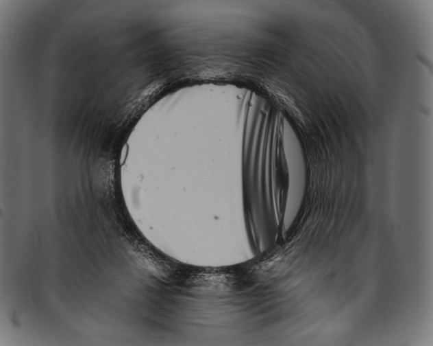 X0000094800260200712141659